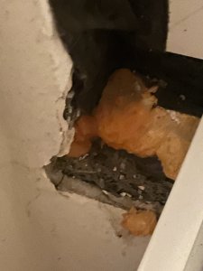 9EFDBF27-86B1-43E7-ABDD-1739E4838D26.jpeg