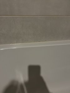 7AAAA681-5D65-4A1D-8D76-C564D171BB7B.jpeg