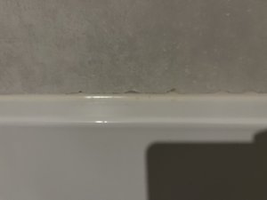 E10F8EBA-A05D-4055-BC5E-E6D63074DCBF.jpeg