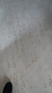 0C2BD19A-EF1F-4154-A189-F6206F6EAB28.jpeg