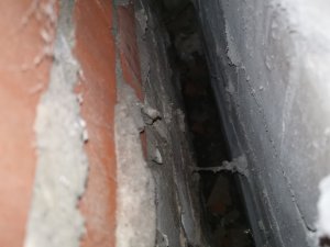 IMG_20221210_121001.jpg
