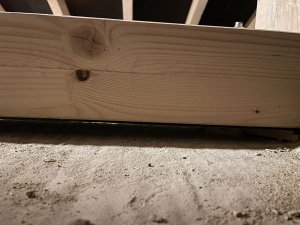 WhatsApp Image 2022-12-13 at 12.35.46.jpeg