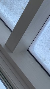 96007FC8-BEEE-4F06-9E48-8B4C6384C75A.jpeg