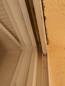 PXL_20221006_102713217.jpg