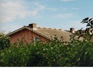 Dach-Foto 1.jpg