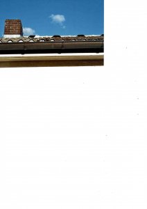 Dach-Foto 2.JPG