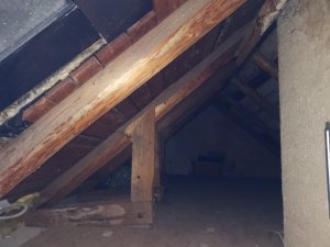 IMG_20221213_182833.jpg