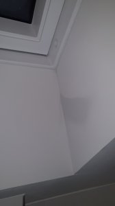 20221215_042447.jpg