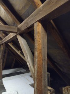 IMG_20221214_215026465.jpg