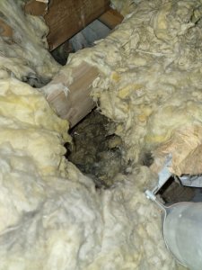 20221218_132608 - Kopie.jpg