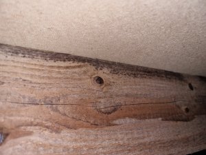 20221218_203058.jpg