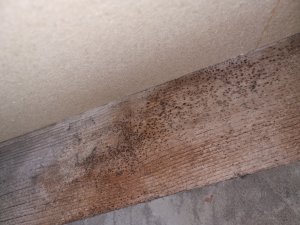 20221218_203139.jpg