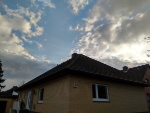 IMG_20200303_162659.jpg