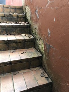 IMG_4156.jpg