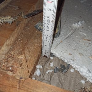 IMG_20230102_163702.jpg