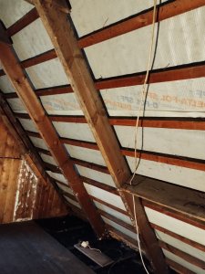 IMG_20221128_140438996 (1).jpg