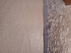 20230104_153733.jpg