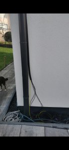 Bild2.jpg