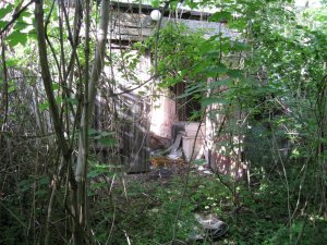 IMG_7846.JPG