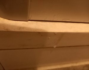20230114_114550.jpg