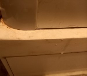 20230114_114514.jpg