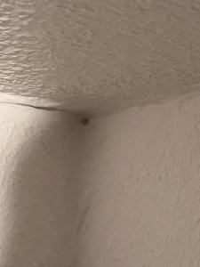 IMG_5109.JPG