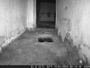 DSCF0328.JPG