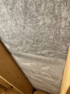 Groß (IMG_2140).jpeg