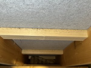 Groß (IMG_2375).jpeg