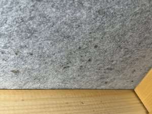 Groß (IMG_2378).jpeg