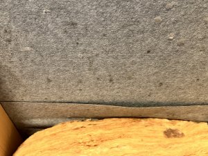 Groß (IMG_2380).jpeg