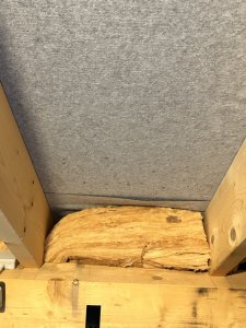 Groß (IMG_2383).jpeg