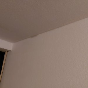 fleck.jpg