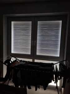 20230117_124419.jpg