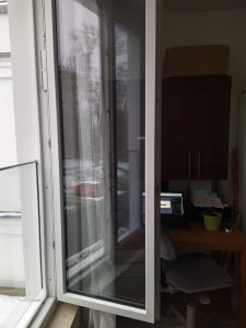 IMG_20230124_101147_3.jpg