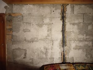 IMG_20230126_205141.jpg
