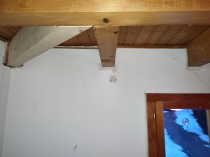 IMG_20230127_074943.jpg