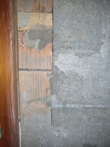 IMG_20230127_075101.jpg
