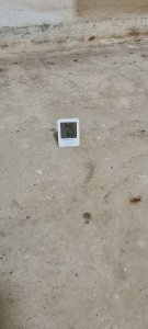 20230129_195859.jpg