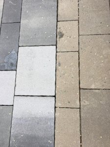 C1D76283-5C73-409D-A34B-CC386A466508.jpeg