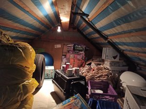 IMG_20221229_172608.jpg