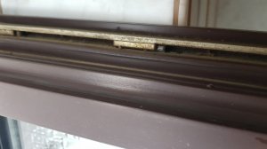Kellerfenster Band2.jpg