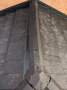 2302BEDB-F8E4-4157-BCA0-4677CD007248.jpeg