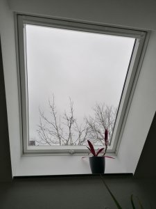 IMG_20230206_105205.jpg