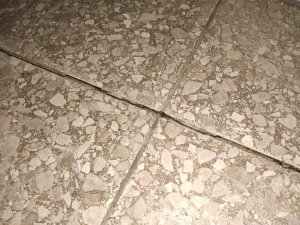IMG_20230206_182146.jpg
