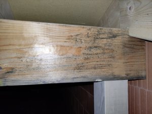 IMG_20230207_173658.jpg