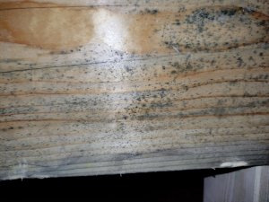 IMG_20230207_173651.jpg