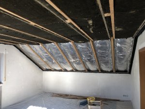 IMG_6529(1).jpg