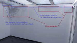 Bild2_Feuchteschäden.jpg
