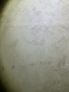 C8E1EE3A-321E-4078-BA15-8FDCA676D639.jpeg